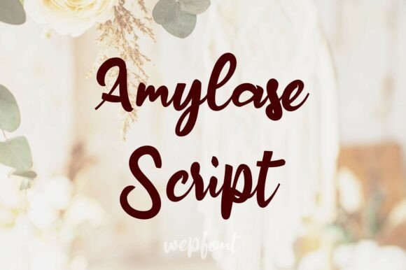 Amylase Script: A Font That Breathes Life Into Your Creations