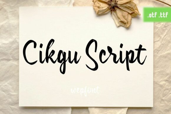 Boost Your Brand with Cikgu Script