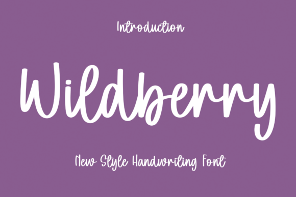 Wildberry: A Script Font That Elevates Digital Branding